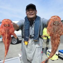 大進丸(新潟) 釣果