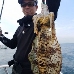 Magic（マジック） 釣果