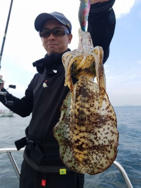 Magic（マジック） 釣果