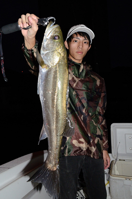 Marine T Design　マリンティ…