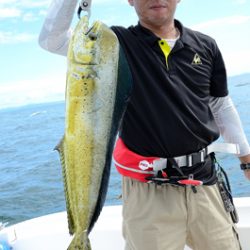 Marine T Design マリンティーデザイン 釣果