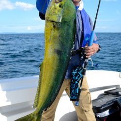 Marine T Design マリンティーデザイン 釣果