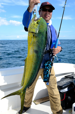 Marine T Design マリンティーデザイン 釣果