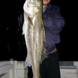 Marine T Design マリンティーデザイン 釣果