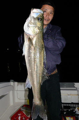 Marine T Design マリンティーデザイン 釣果