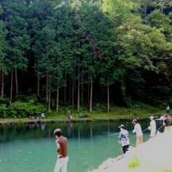 小菅トラウトガーデン 釣果