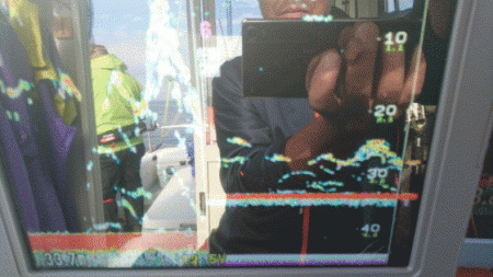 遊漁船ブルーウッズ 釣果