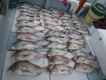 遊漁船 幸友丸 釣果