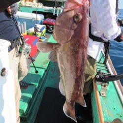 真祐丸 （しんゆうまる） 釣果