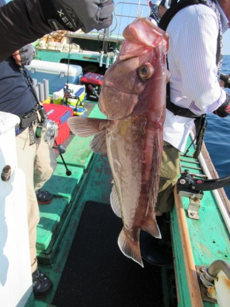 真祐丸 （しんゆうまる） 釣果