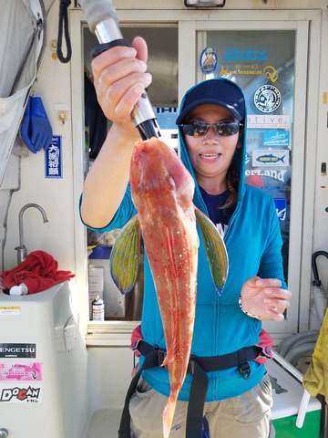 遊漁船　ニライカナイ 釣果