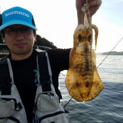 Magic（マジック） 釣果