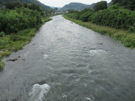 狩野川(狩野川漁業協同組合) 釣果