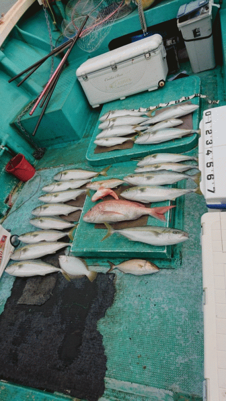 清和丸 釣果