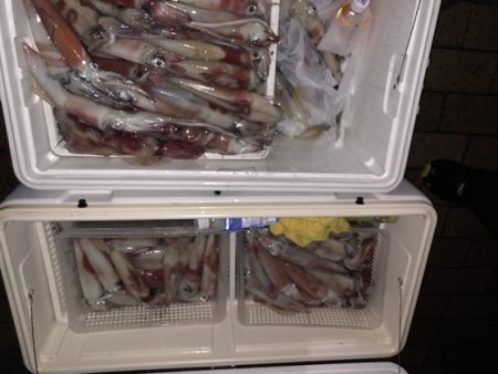 幸風（さちかぜ） 釣果