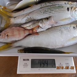 姫路市立遊魚センター 釣果