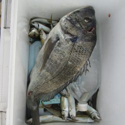 下関フィッシングパーク 釣果