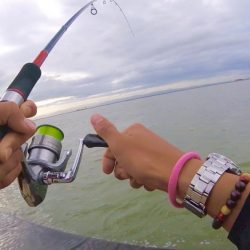 サクッと晩酌の友ゲット