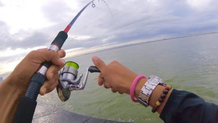 サクッと晩酌の友ゲット