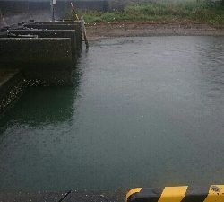 台風前に・・・