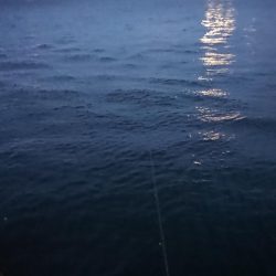 台風前の朝練出撃！