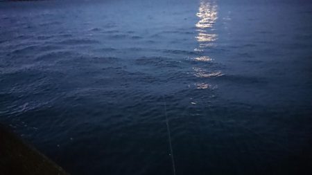 台風前の朝練出撃！