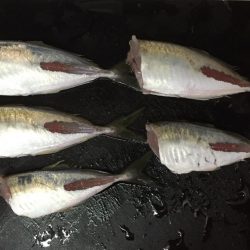 サクッと晩酌の友ゲット