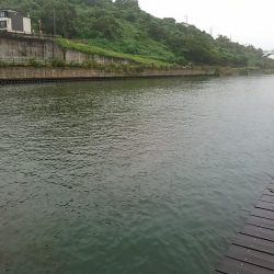 佐鳴湖　シーバス デイゲーム