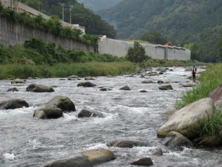 狩野川(狩野川漁業協同組合) 釣果