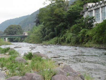 狩野川(狩野川漁業協同組合) 釣果