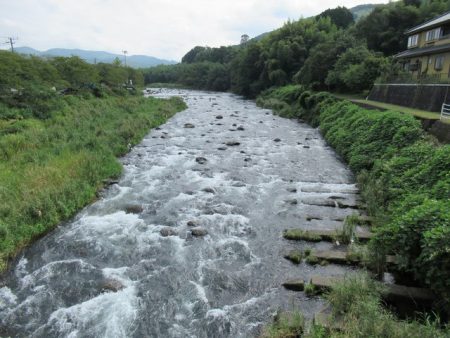 狩野川(狩野川漁業協同組合) 釣果