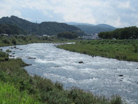 狩野川(狩野川漁業協同組合) 釣果