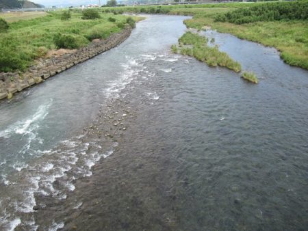 狩野川(狩野川漁業協同組合) 釣果