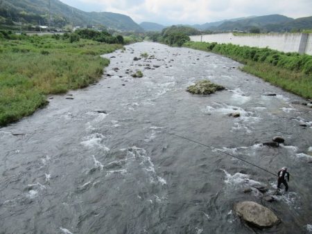 狩野川(狩野川漁業協同組合) 釣果