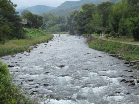 狩野川(狩野川漁業協同組合) 釣果