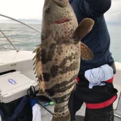 Blue.win 海人丸 釣果