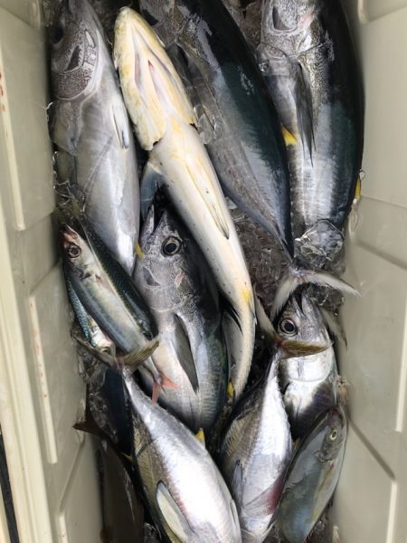 Blue.win 海人丸 釣果