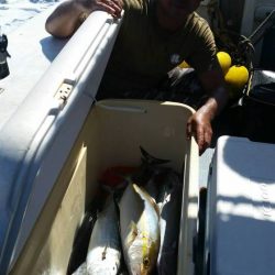 第五慶門丸 釣果