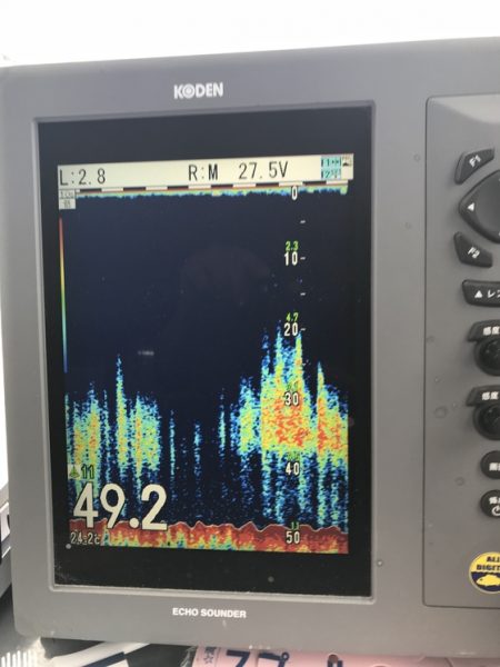 寿裕 （YOSHIHIRO） 釣果