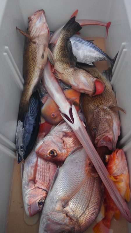 遊漁船 新鋭丸 釣果