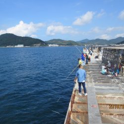 下関フィッシングパーク 釣果