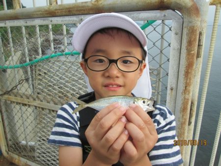 下関フィッシングパーク 釣果