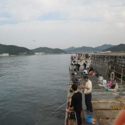 下関フィッシングパーク 釣果