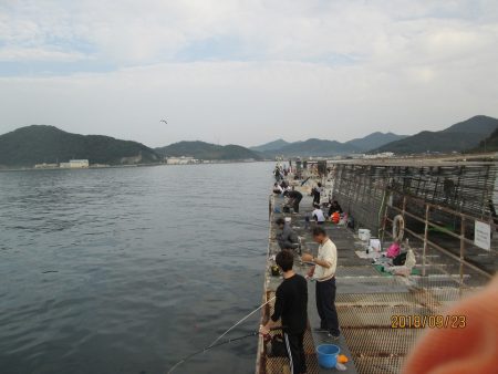 下関フィッシングパーク 釣果