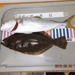 姫路市立遊魚センター 釣果