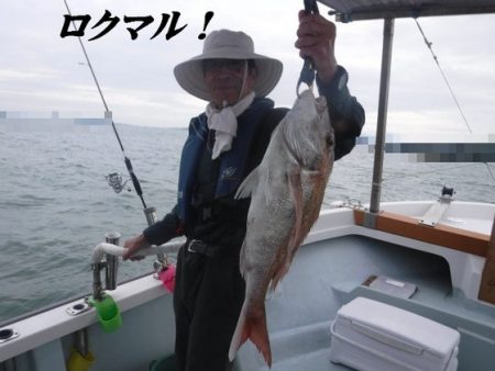 遊漁船 幸友丸 釣果