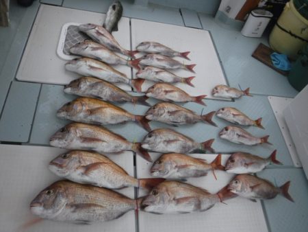 遊漁船 幸友丸 釣果