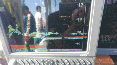 遊漁船ブルーウッズ 釣果