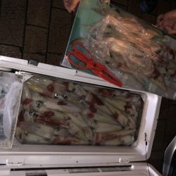 幸風（さちかぜ） 釣果