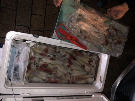 幸風（さちかぜ） 釣果